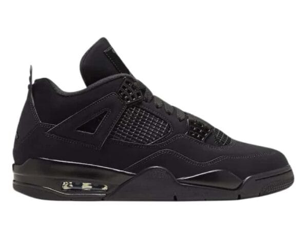 Air Jordan 4 Black Cat 2020