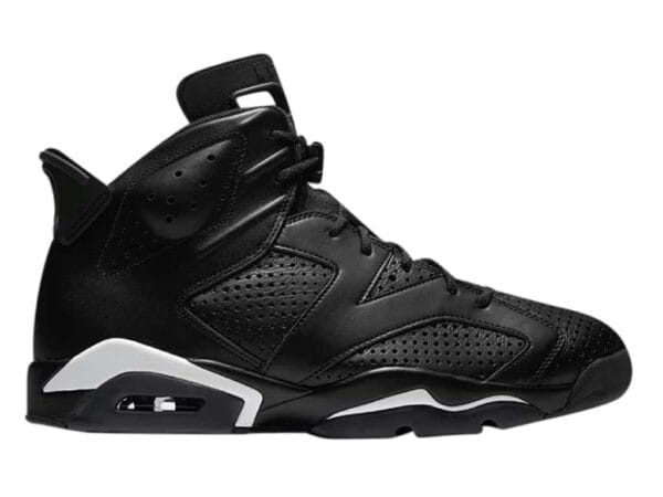 Air Jordan 6 Black Cat
